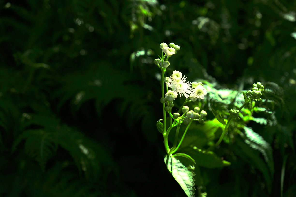 d0237340_22580131.gif