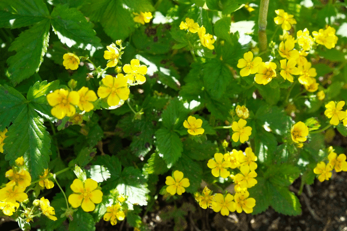 d0237340_22590811.gif