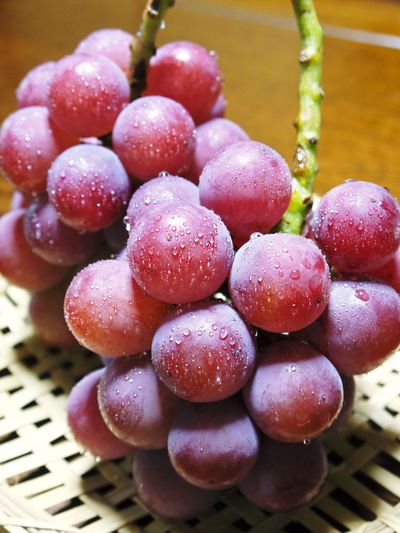 熊本ぶどう 社方園高級種なしぶどう「山鹿のぶどう」 平成27年度も7月7日に初出荷!!ご予約承り中!_a0254656_19253564.jpg