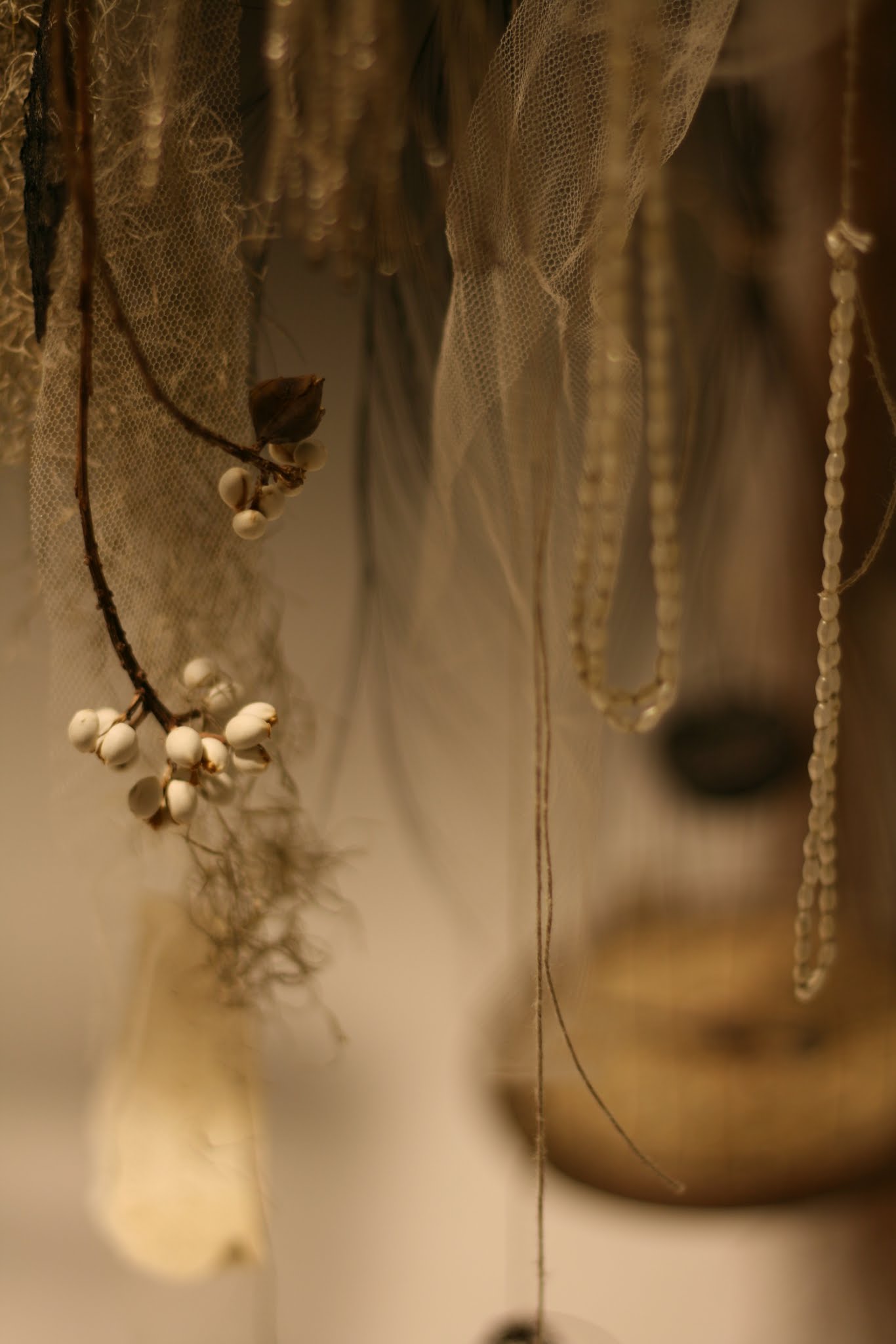 Fèerie d\'automne_d0162257_17321257.jpg