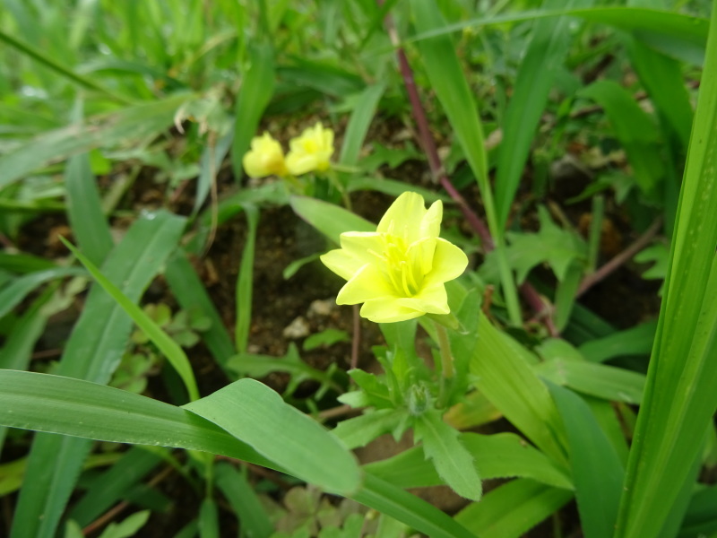 c0108460_21361954.jpg