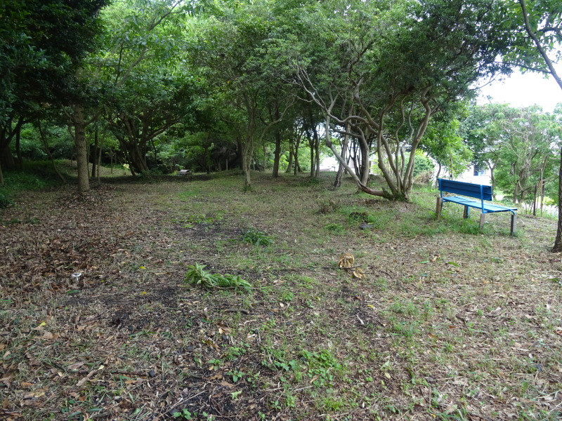 c0108460_23420588.jpg