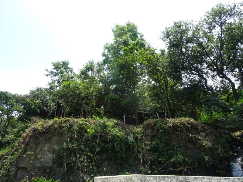 c0108460_23421087.jpg