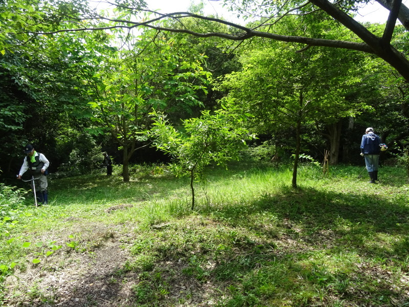 c0108460_23434924.jpg