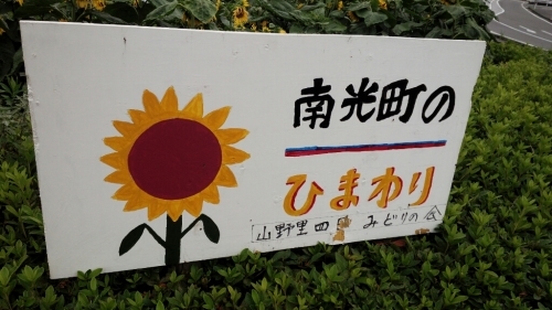 ひまわり_b0328361_22025253.jpg