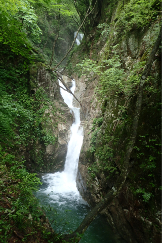 d0110562_21523246.jpg