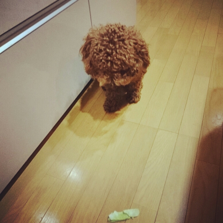 c0311170_20124491.jpg