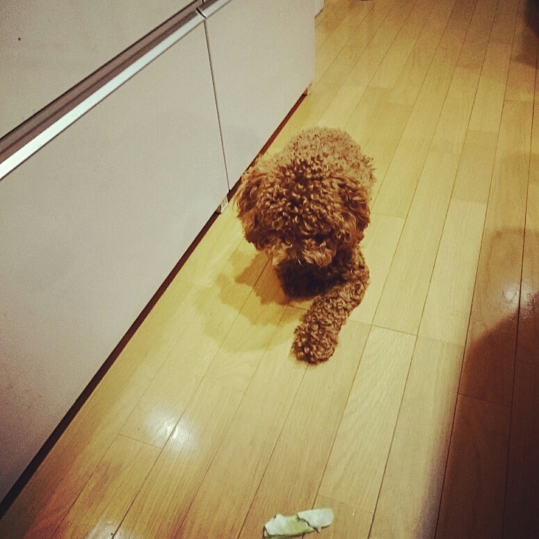 c0311170_2013202.jpg