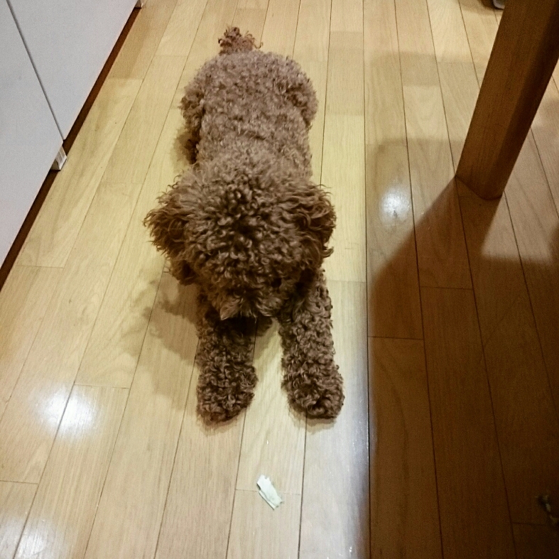 c0311170_20172813.jpg