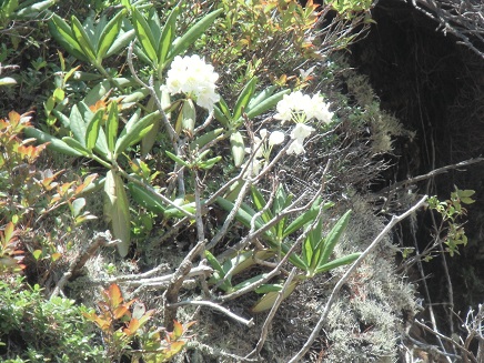 c0273271_13321567.jpg