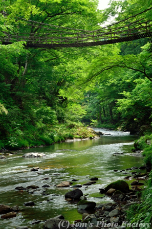 越前路 池田町 かずら橋 Tomの一人旅 気のむくまま 足のむくまま