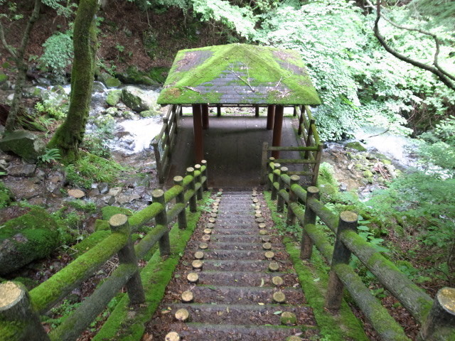 f0197703_10214783.jpg