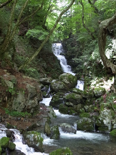 f0197703_10274903.jpg