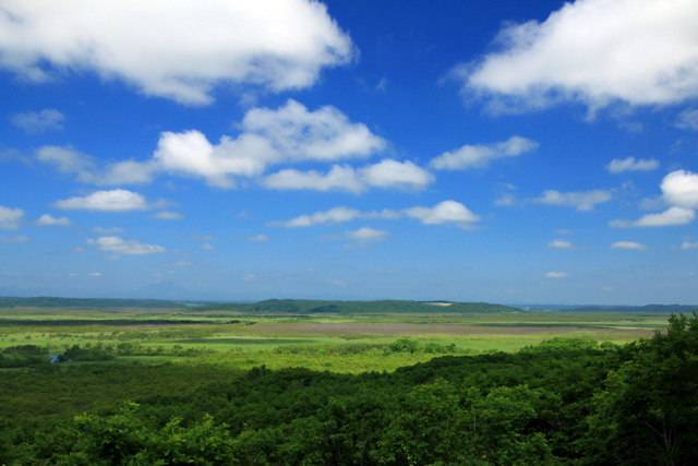b0014607_22105237.jpg