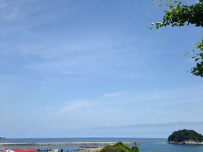 今日もいいお天気♪タイムセールをご利用下さい!_d0135908_6404753.jpg