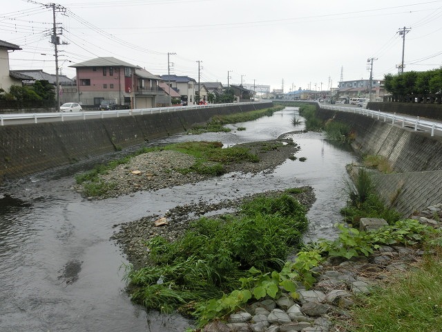 ボランティアの草刈りでは対応不可 上流から流れ込む小潤井川の土砂堆積_f0141310_7535786.jpg