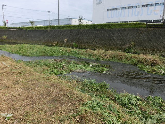 ボランティアの草刈りでは対応不可 上流から流れ込む小潤井川の土砂堆積_f0141310_7542781.jpg