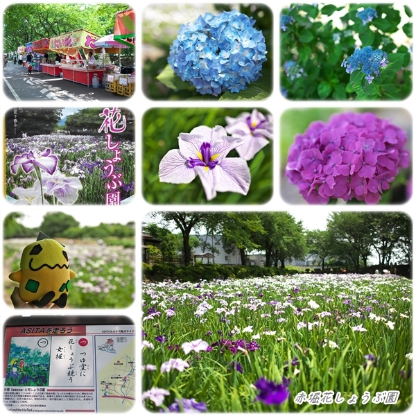 赤堀花しょうぶ園２０１５ 焼まんじゅうを食らう