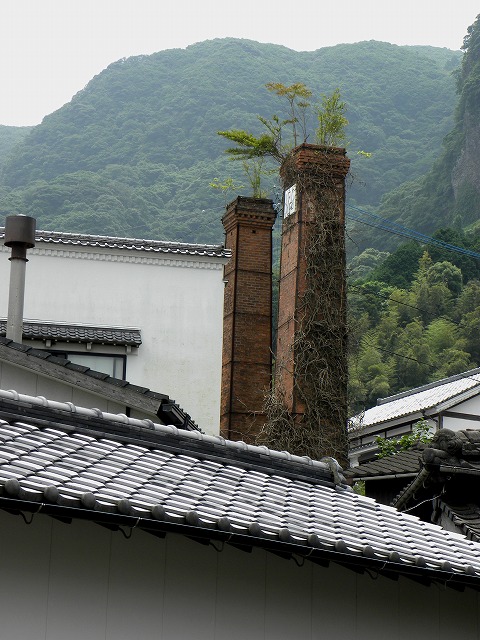 f0054429_21492220.jpg