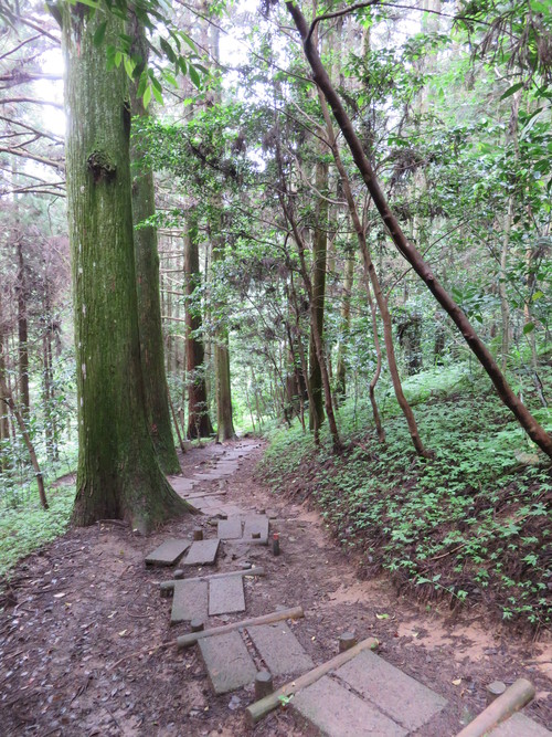 c0239833_0325370.jpg