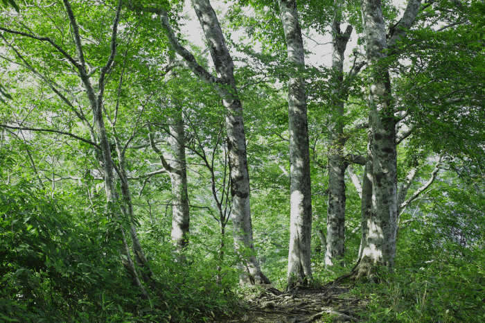 d0237340_14043450.gif
