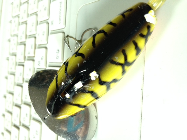 e0271849_1038970.jpg