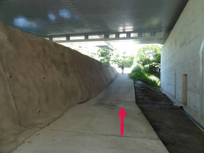 e0033751_16315680.jpg