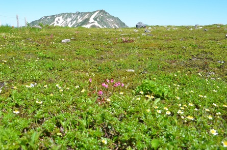 c0073152_02178.jpg