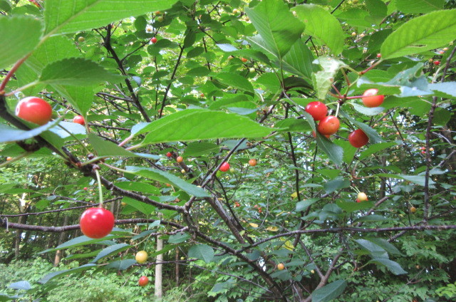 b0247153_21491152.jpg