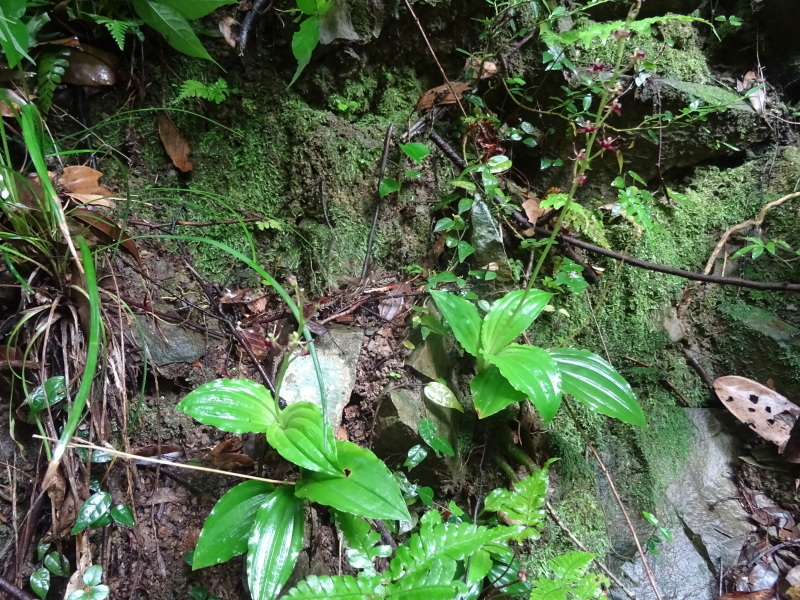 c0108460_17103620.jpg