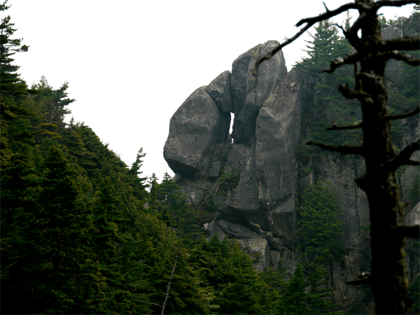 e0010166_09360583.gif