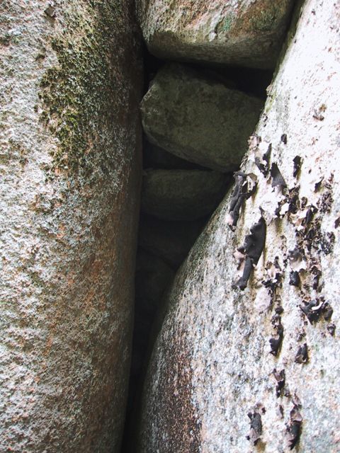 e0010166_09360715.jpg