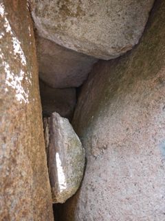 e0010166_09360771.jpg