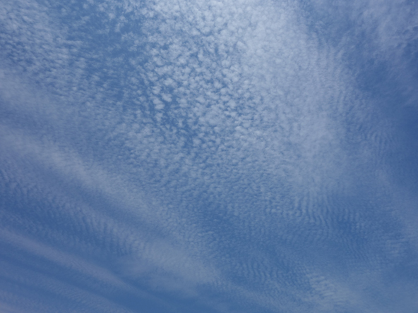 c0265773_14354940.jpg