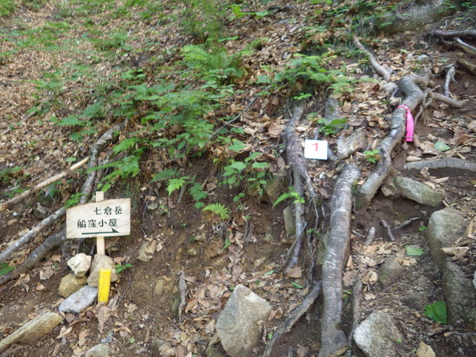 a0094280_9515790.jpg