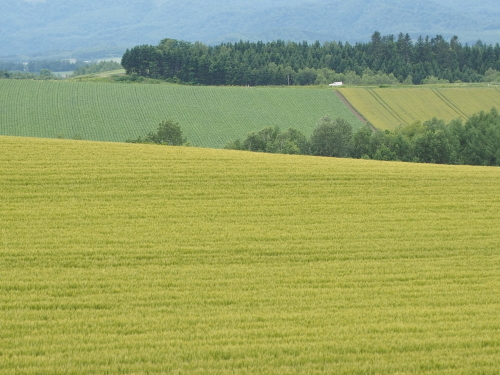 f0357183_22003333.jpg