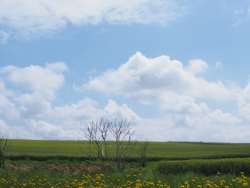 f0357183_22120417.jpg