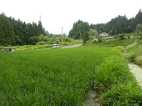 7月3日の田んぼ(月光原小・西根小)_d0247484_13441049.jpg