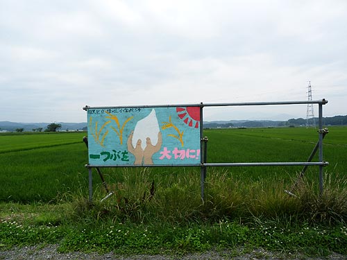 7月3日の田んぼ(緑ヶ丘小・北郷小)_d0247484_141468.jpg