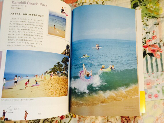 マウイ島の本_a0138490_08322887.jpg