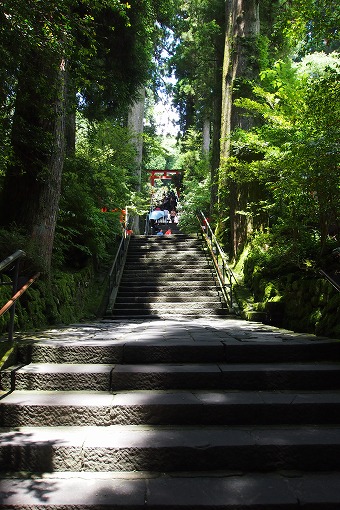 箱根旅行　箱根神社_e0160595_22505264.jpg