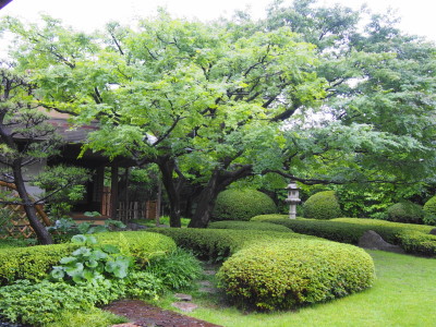 松風園で学ぶ、夏の室礼_a0236996_1949582.jpg