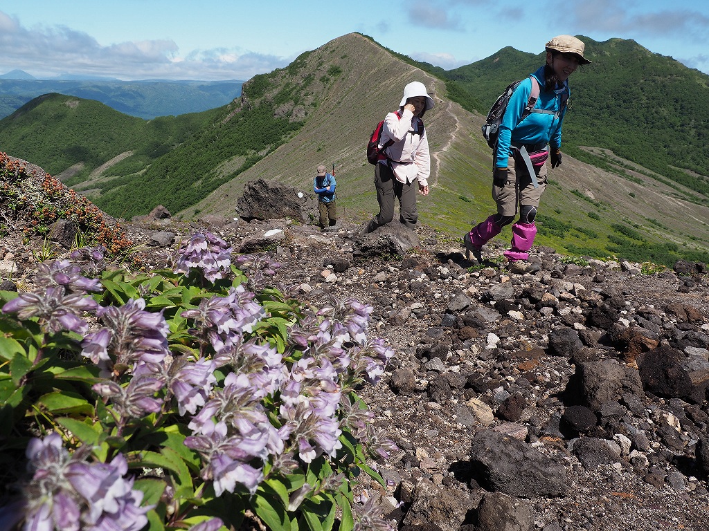 樽前山、7月3日－速報版－_f0138096_14365696.jpg