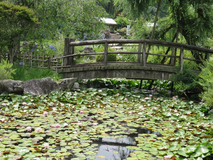 f0346196_15572737.jpg