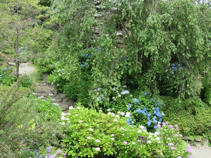 f0346196_16115713.jpg