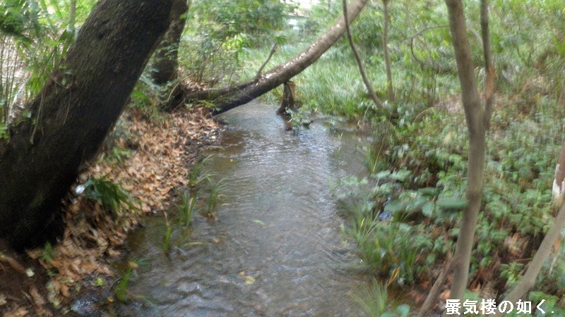 「東のくるめと隣のめぐる」舞台探訪０３ 落合川と黒目川の合流点から南沢湧水群へ(1・2巻)_e0304702_18373785.jpg