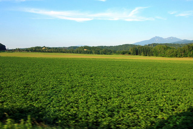 b0014607_1961357.jpg