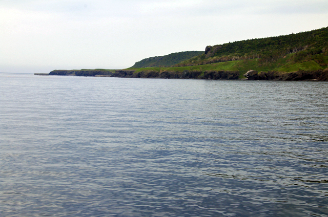 b0014607_1964627.jpg