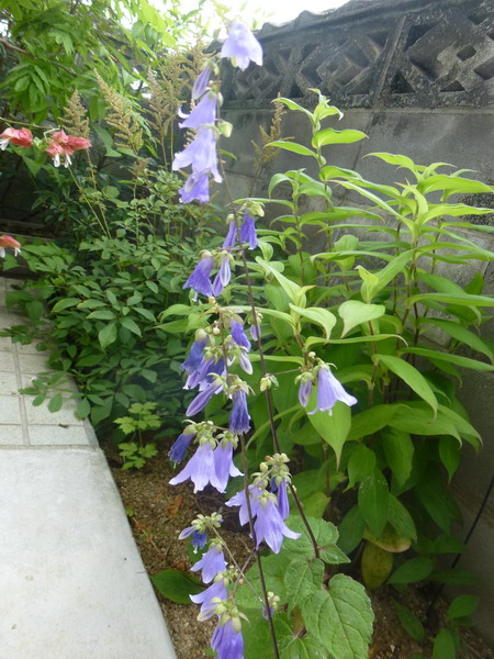 b0052108_2291114.jpg
