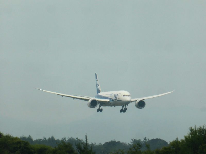 b0057612_12184871.jpg